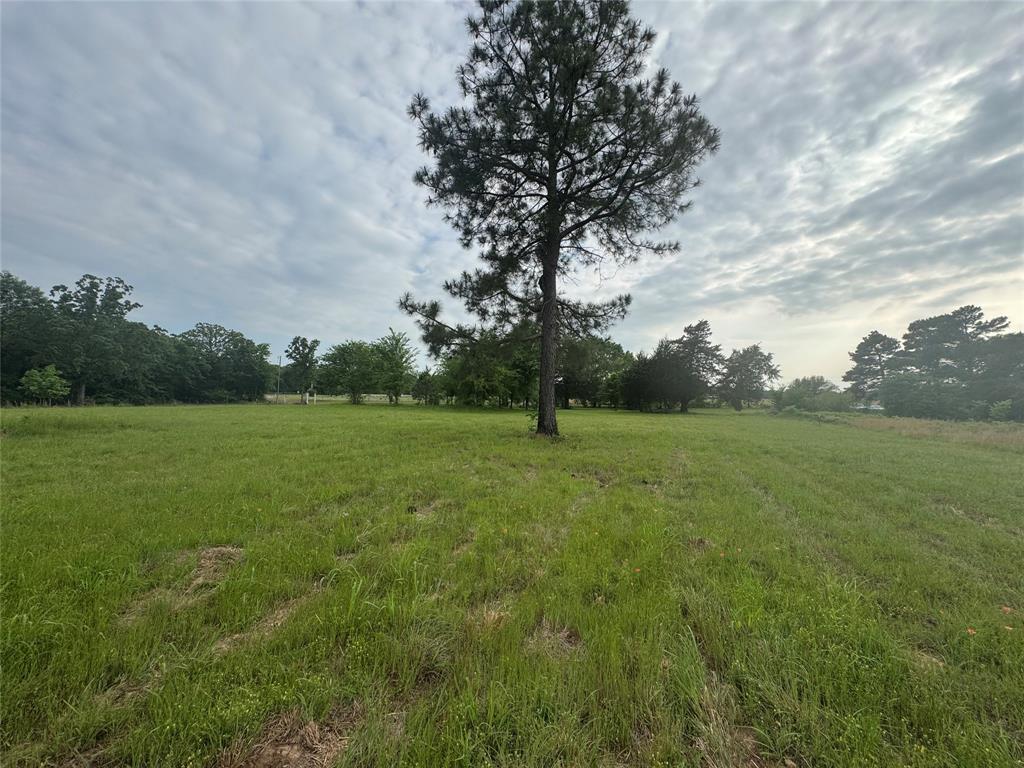 Tbd Vz Cr 1215 Property Photo 4