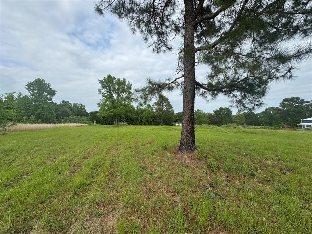 Tbd Vz Cr 1215 Property Photo 8