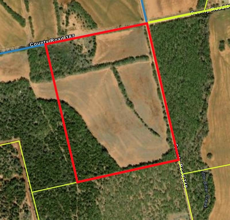 457 County Road 387 Property Photo 5