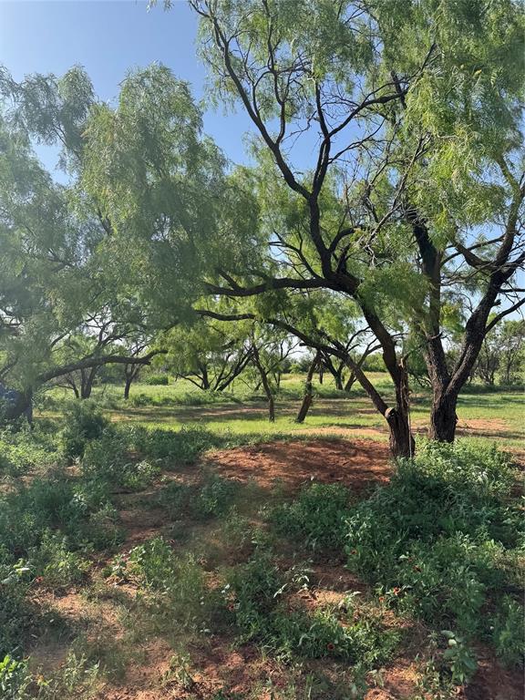457 County Road 387 Property Photo 26