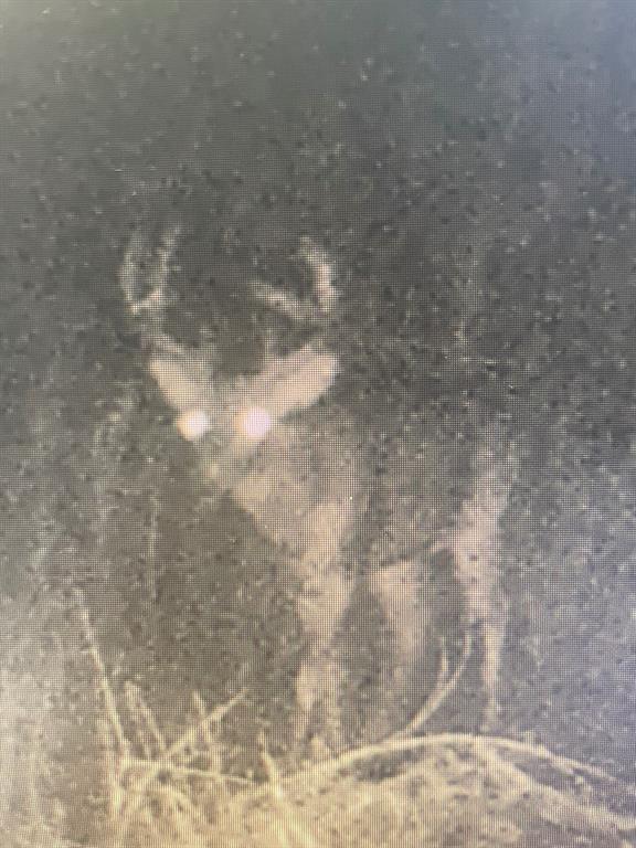 457 County Road 387 Property Photo 39