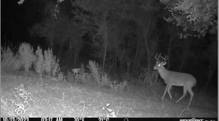 457 County Road 387 Property Photo 40