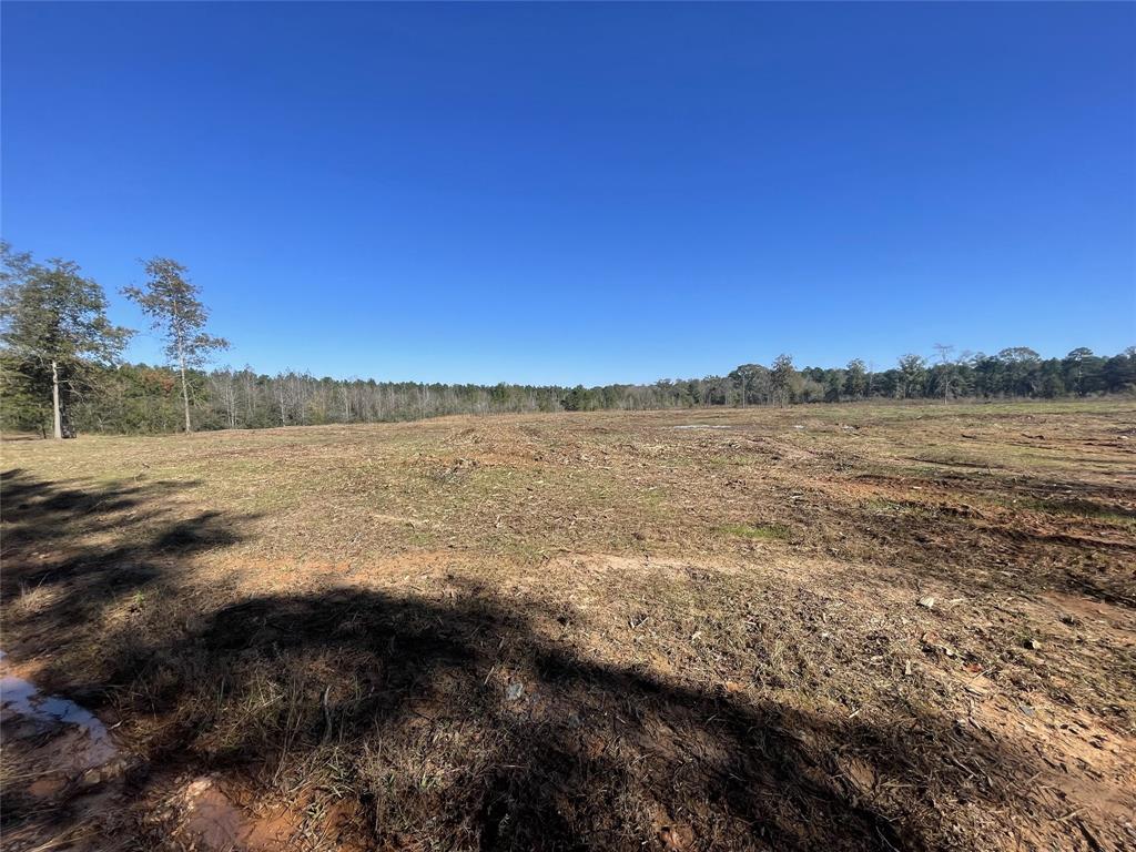 Tbd County Road 4505 Property Photo