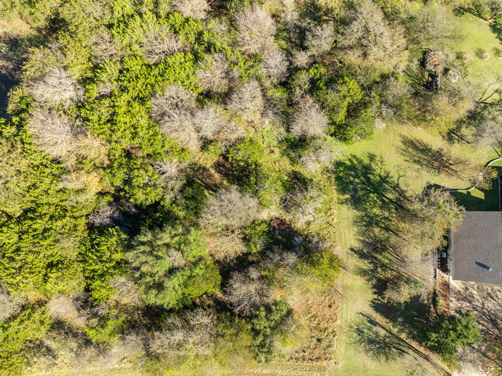 17124 Trailwood Drive Property Photo 3
