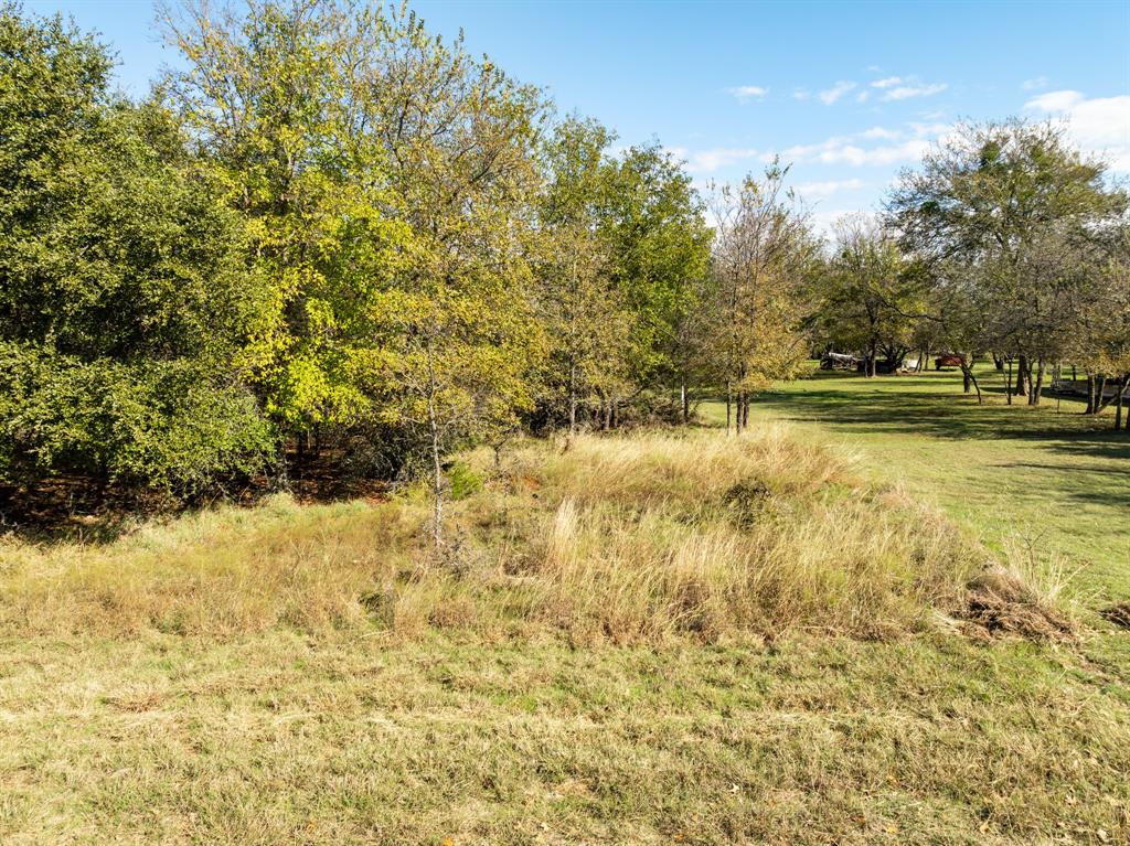 17124 Trailwood Drive Property Photo 5