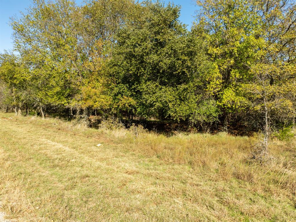 17124 Trailwood Drive Property Photo 6