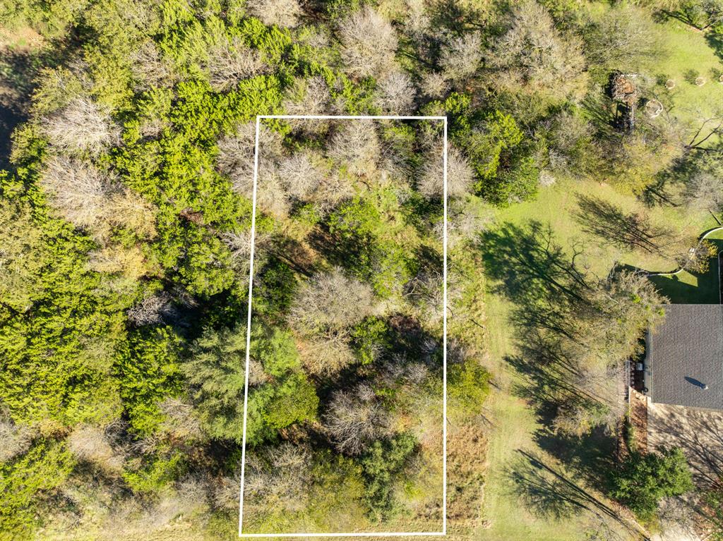 17124 Trailwood Drive Property Photo 7