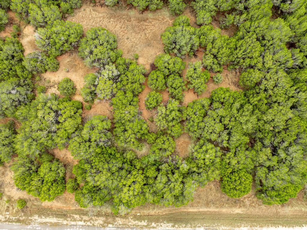 18062 Forrest Drive Property Photo 3