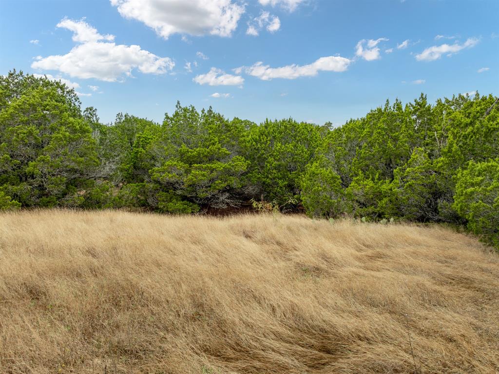 18062 Forrest Drive Property Photo 4