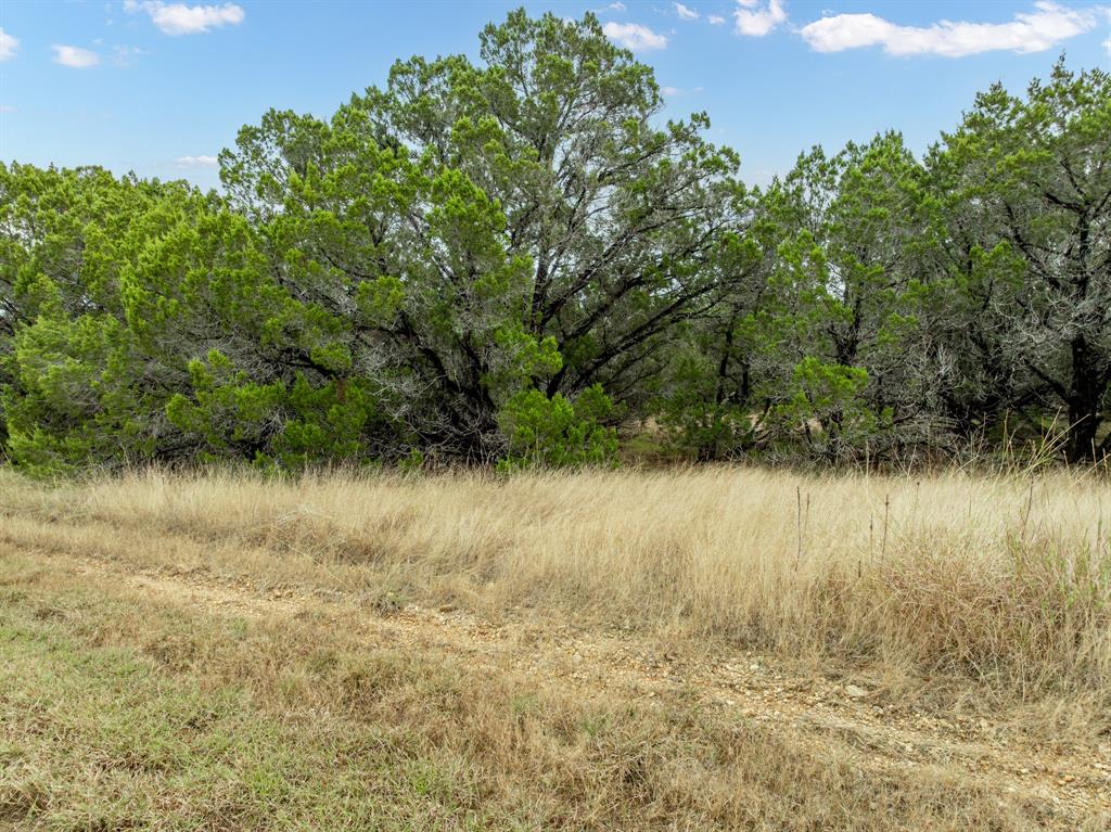 18062 Forrest Drive Property Photo 5