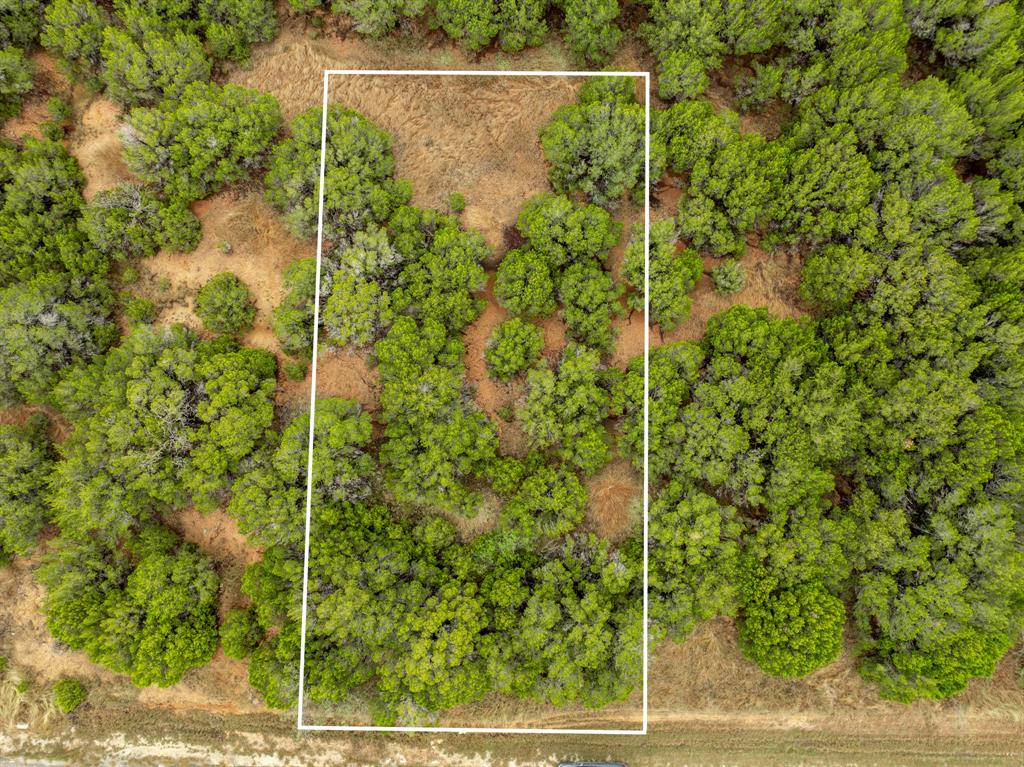 18062 Forrest Drive Property Photo 7