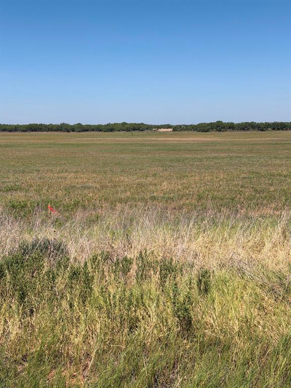 Tbd Lot 25 County Road 497 Property Photo 1