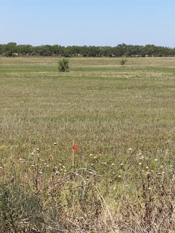 Tbd Lot 27 County Road 497 Property Photo 1