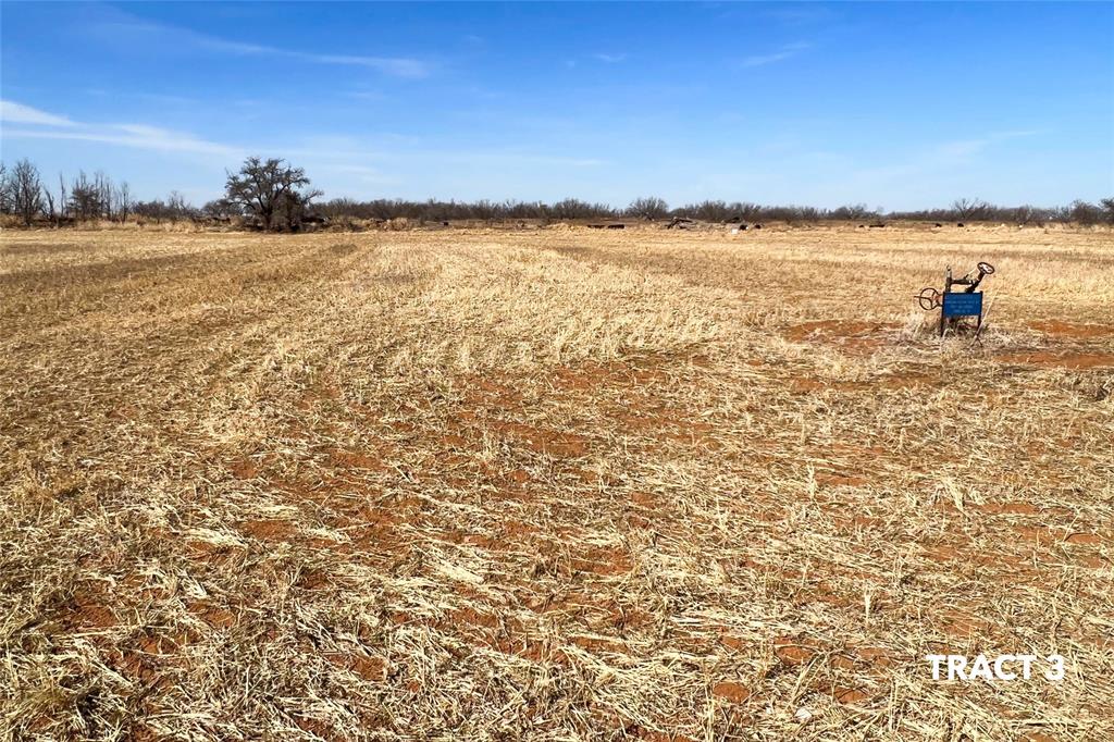 000 County Road 239 Property Photo 4