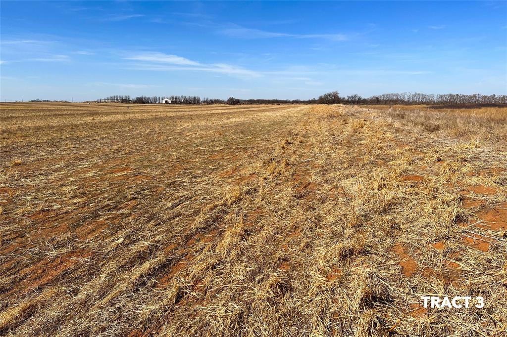 000 County Road 239 Property Photo 8