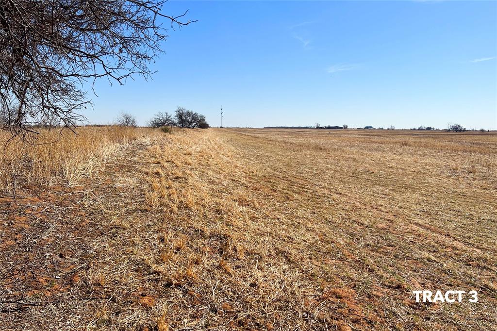 000 County Road 239 Property Photo 9