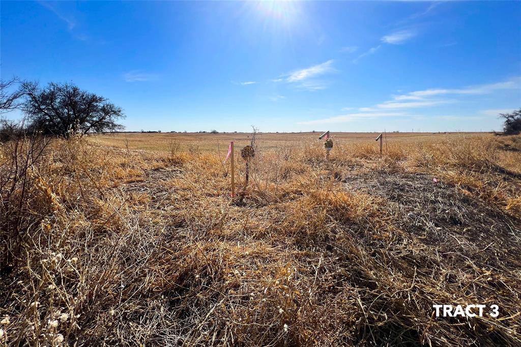 000 County Road 239 Property Photo 11