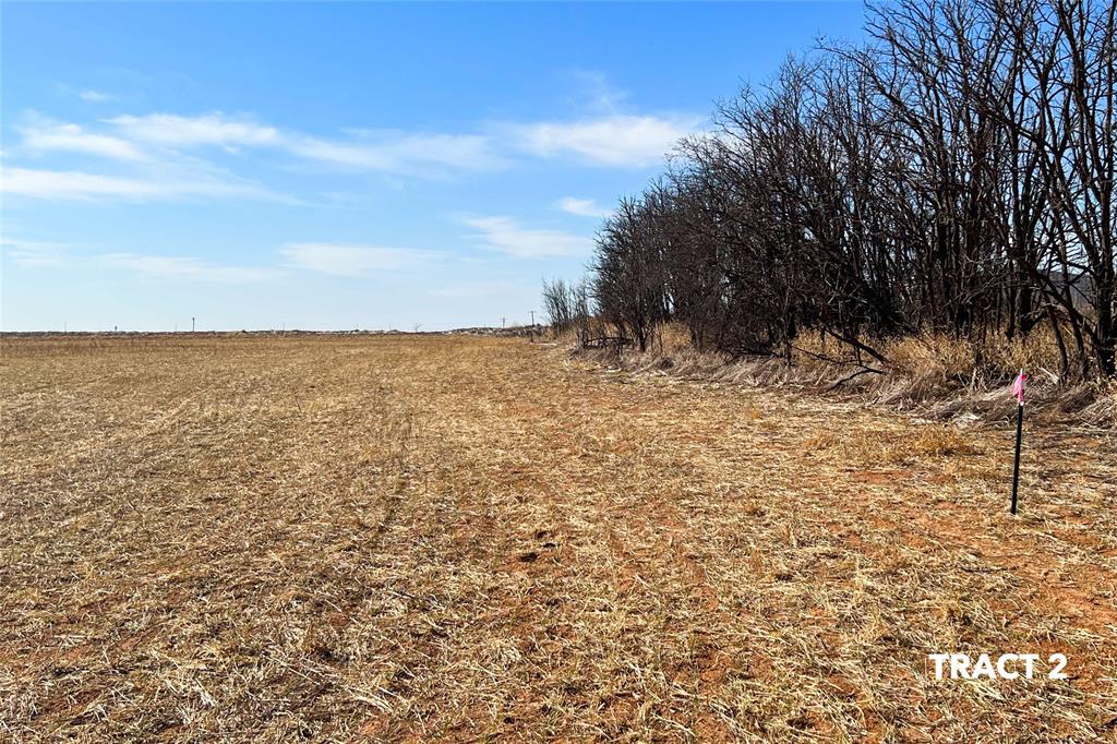 000 County Road 239 Property Photo 18