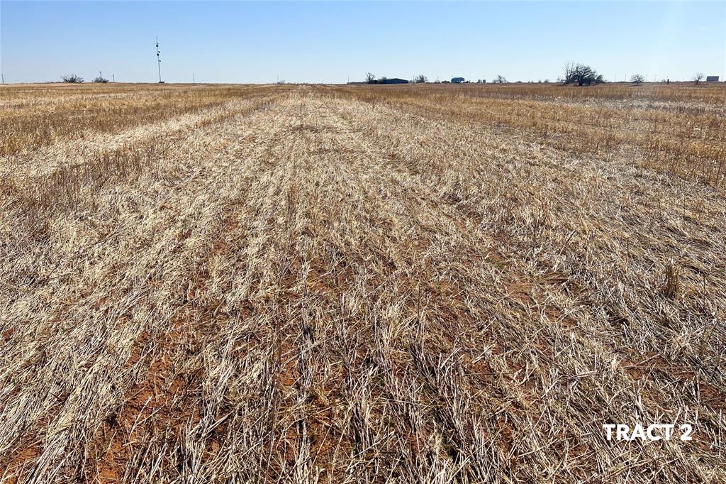 000 County Road 239 Property Photo 21