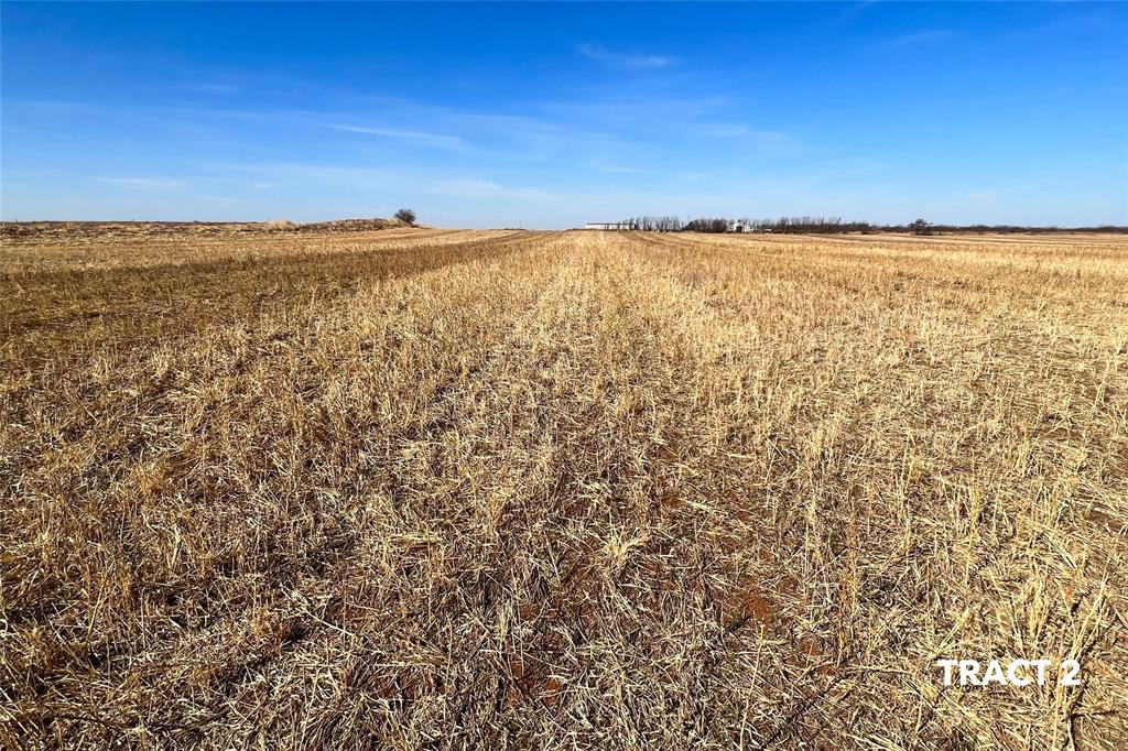 000 County Road 239 Property Photo 22