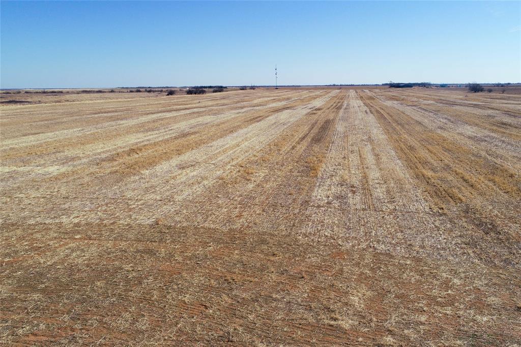 000 County Road 239 Property Photo 36