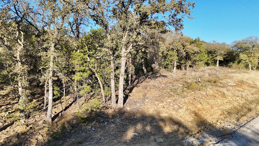 124 Wooded Acres Drive Property Photo 2