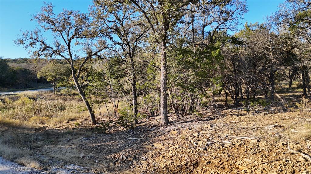 124 Wooded Acres Drive Property Photo 8