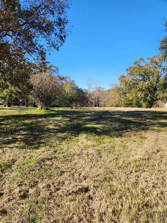 6419 Locust Street Property Photo 3