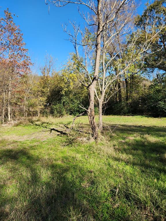 6419 Locust Street Property Photo 4