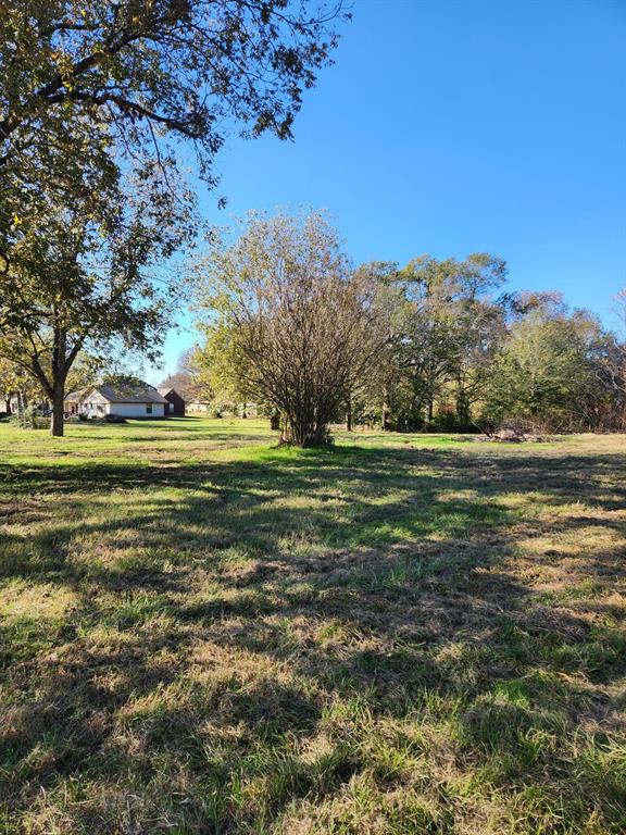 6419 Locust Street Property Photo 5