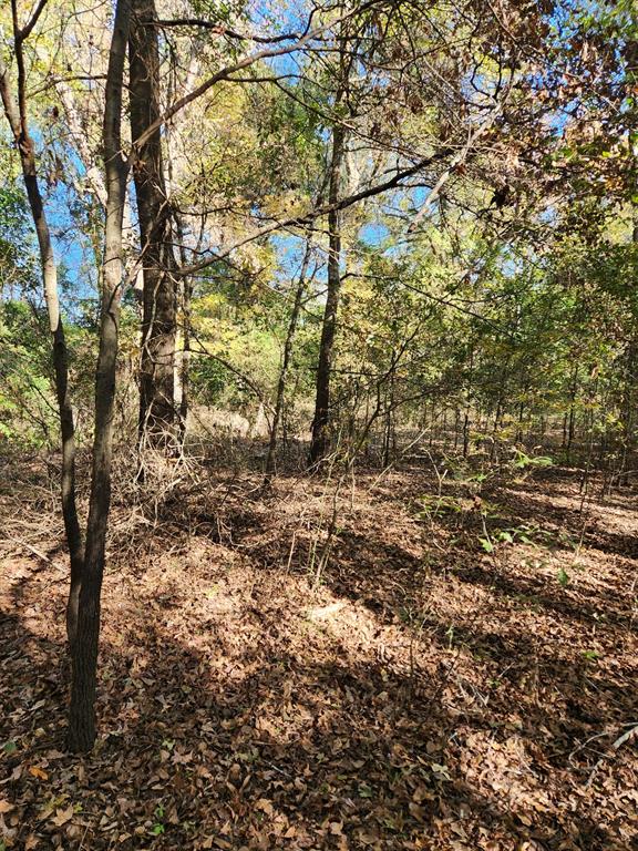 6419 Locust Street Property Photo 6