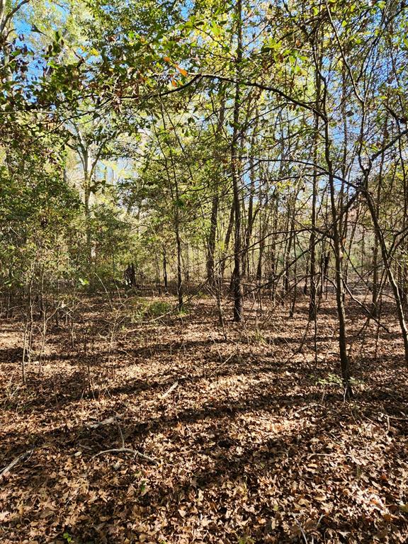 6419 Locust Street Property Photo 8