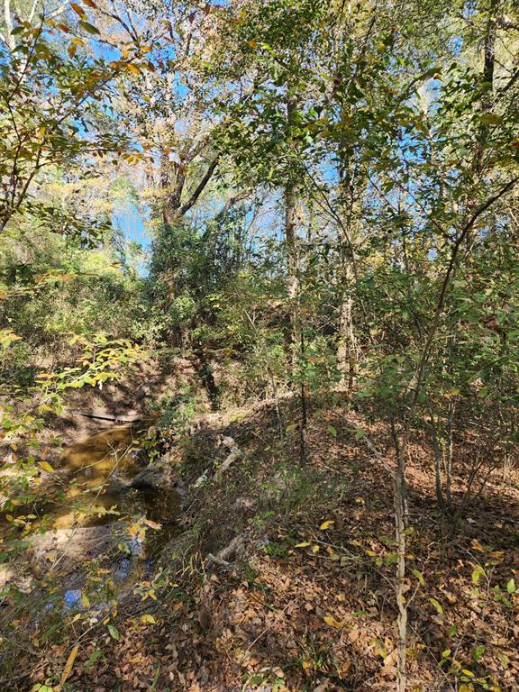 6419 Locust Street Property Photo 9