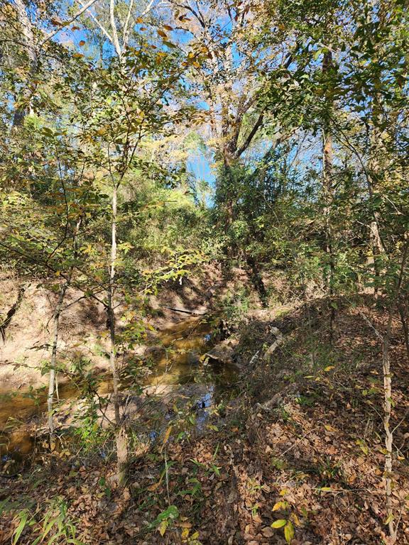 6419 Locust Street Property Photo 10