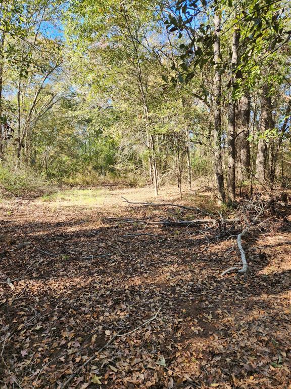 6419 Locust Street Property Photo 14
