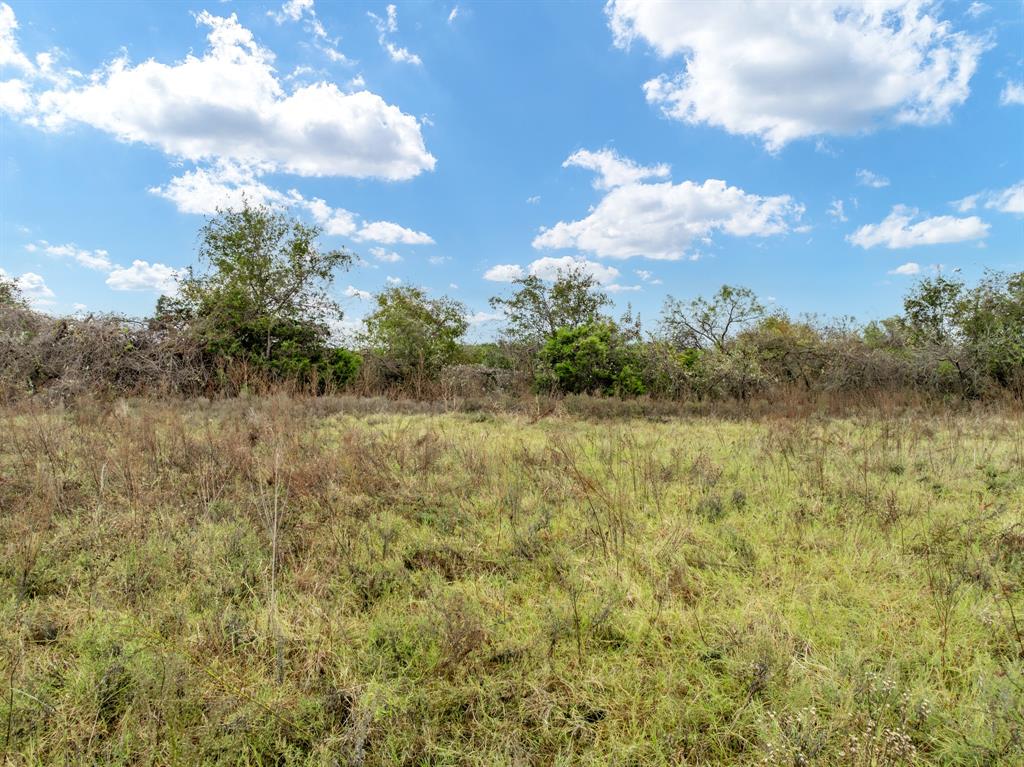 22146 Stanwood Drive Property Photo 2