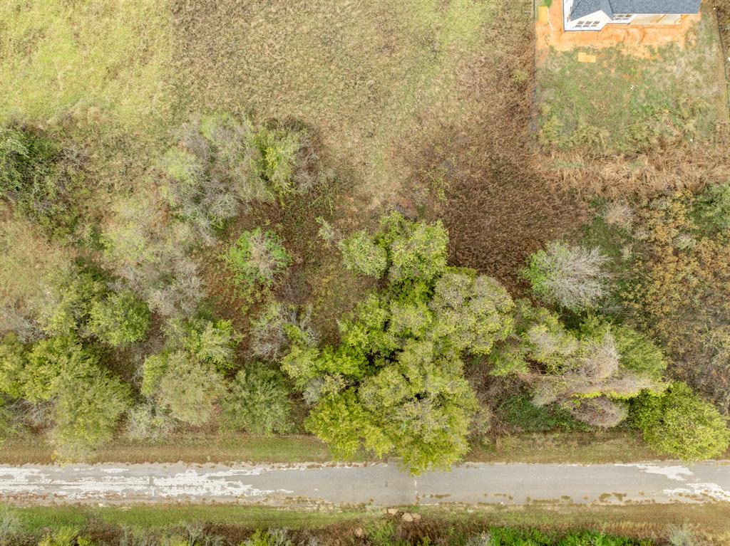 22193 Shady Grove Drive Property Photo 4