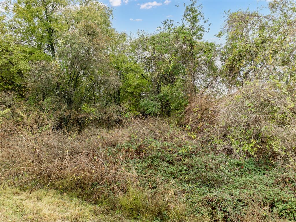 22193 Shady Grove Drive Property Photo 5