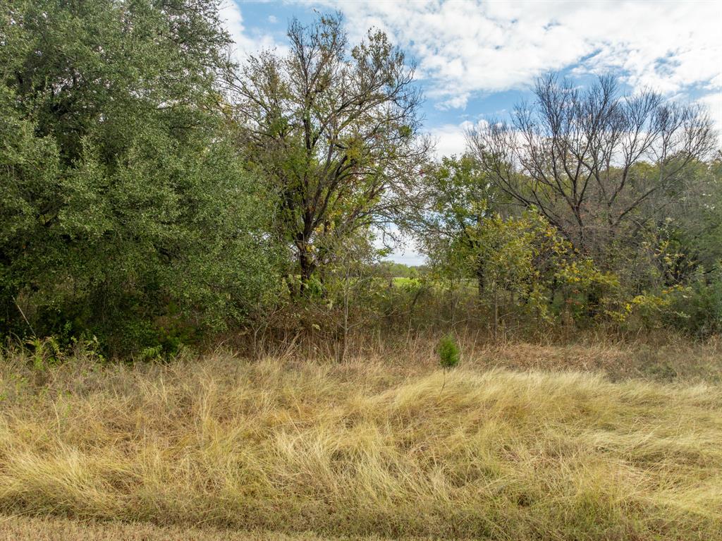 34007 Stonewood Drive Property Photo 4