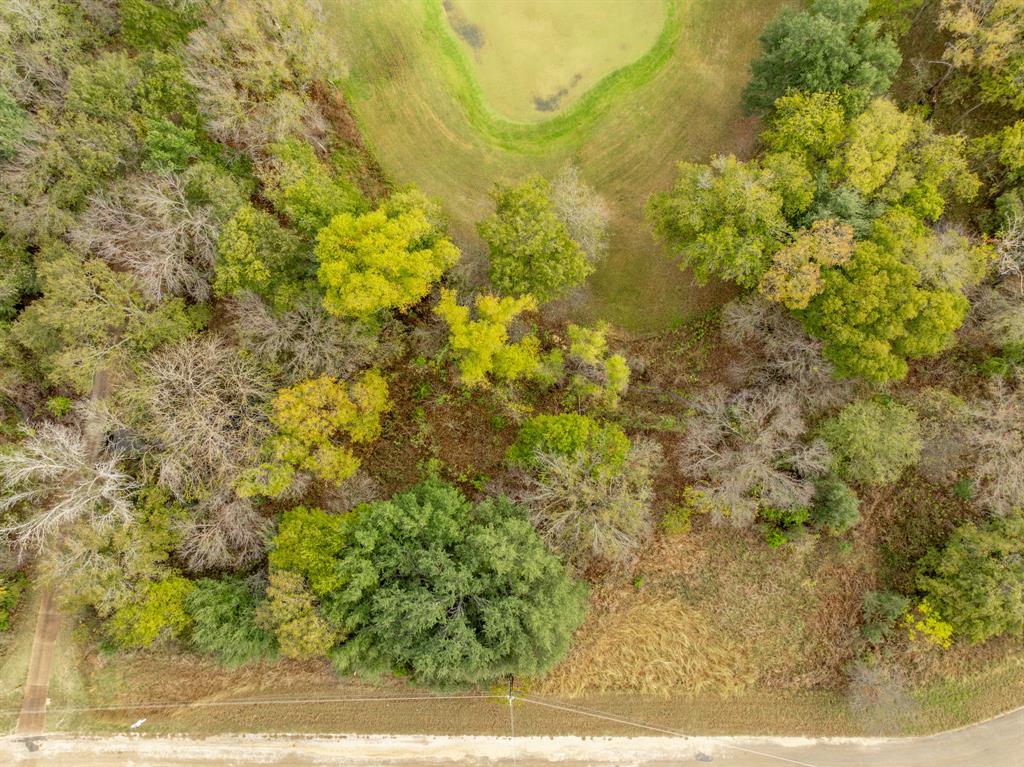 34007 Stonewood Drive Property Photo 5