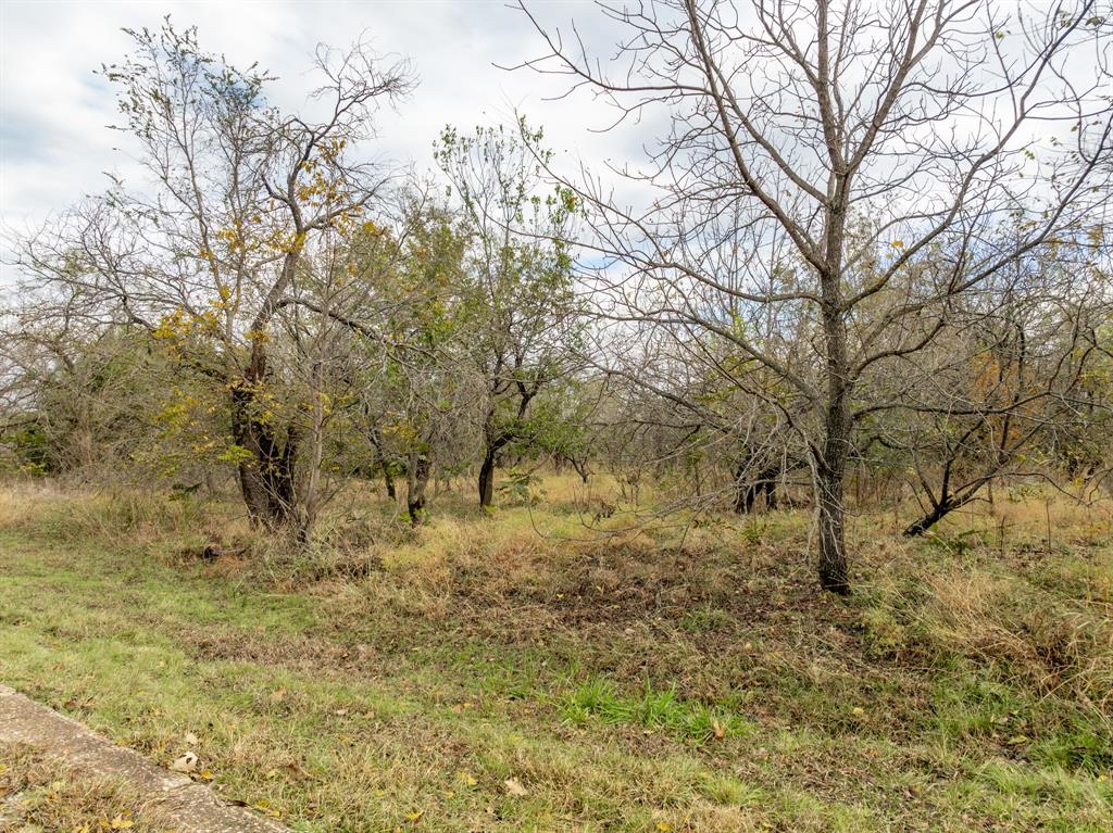 34071 Stonewood Loop Property Photo 4