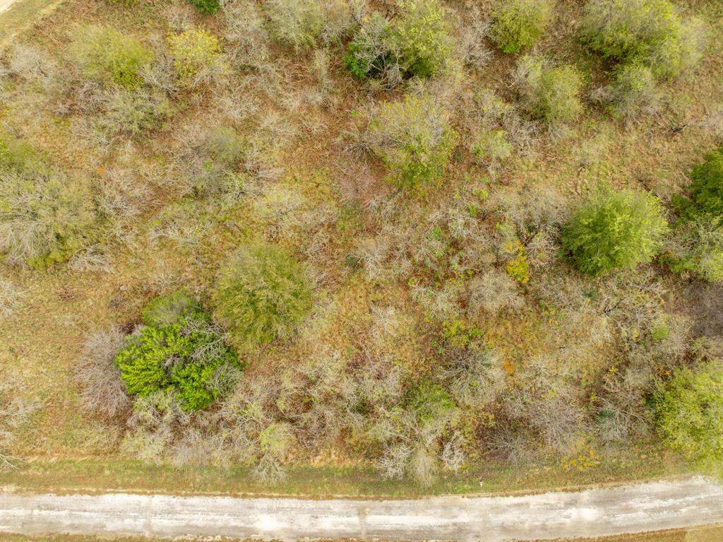 34071 Stonewood Loop Property Photo 5