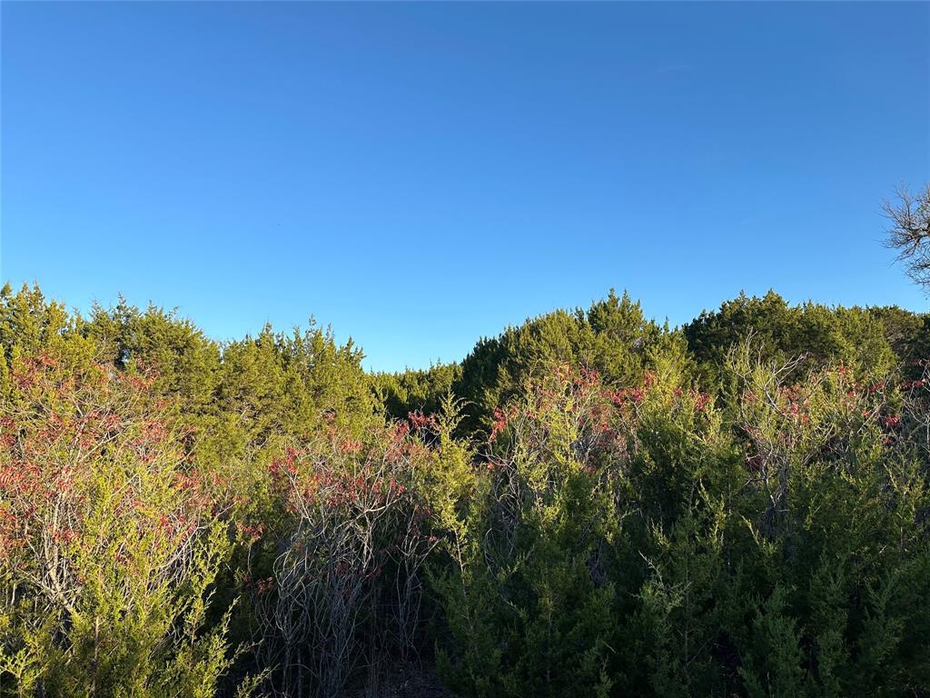 Lot 659R Canyon Wren Loop Property Photo 1