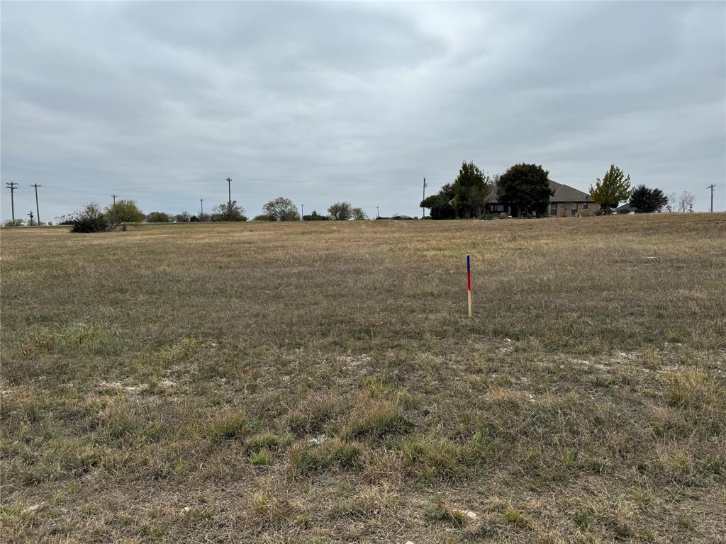 7408 Royal Winchester Drive Property Photo 1