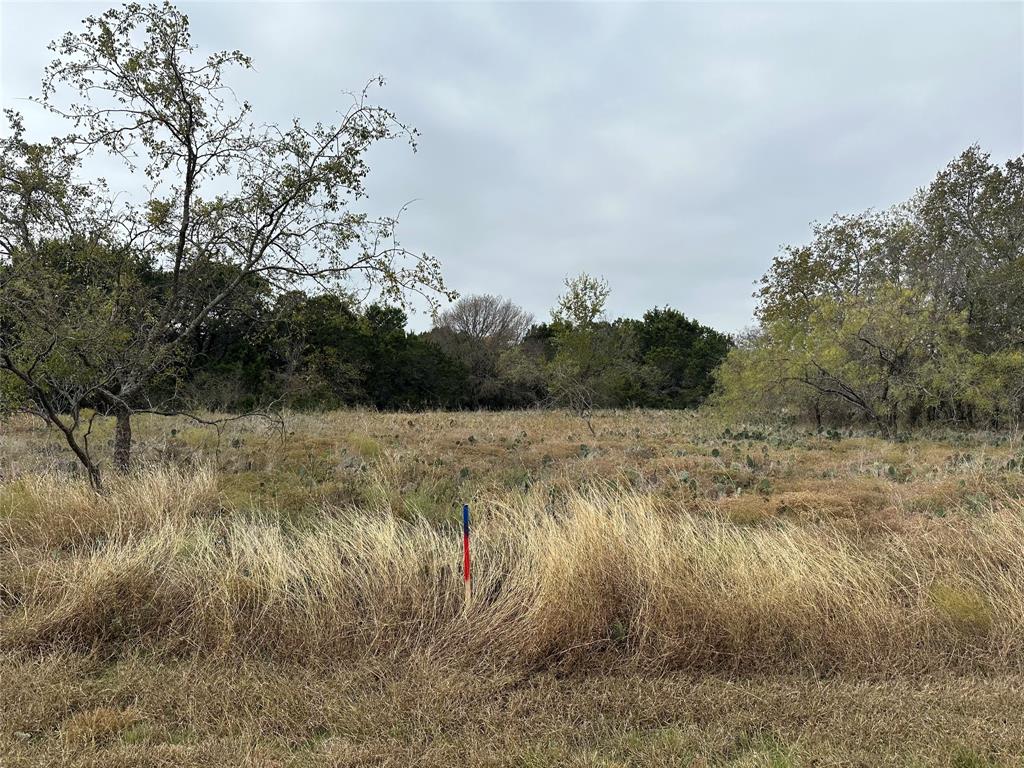 14063 Sandy Oaks Drive Property Photo 1