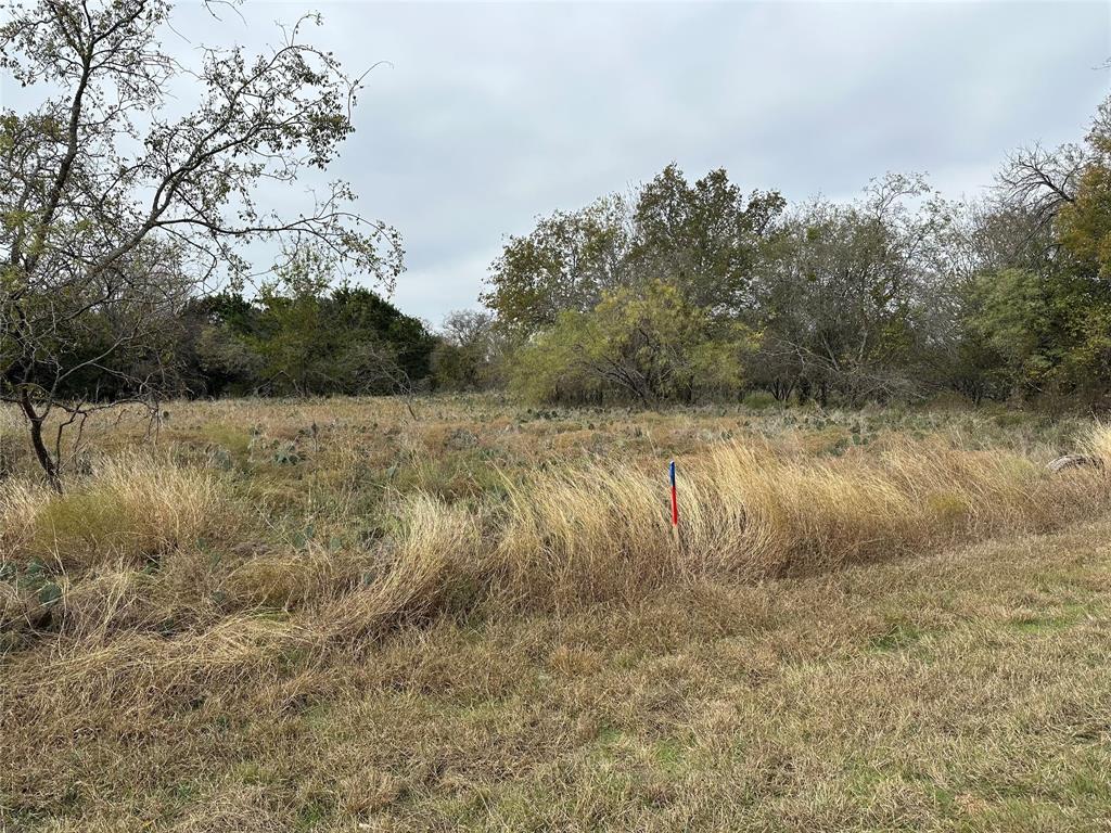 14063 Sandy Oaks Drive Property Photo 2