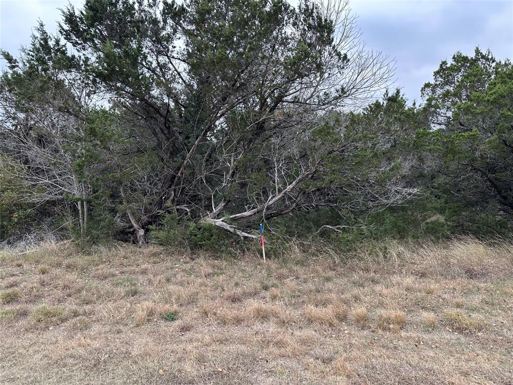 8304 Southerness Lane Property Photo 1