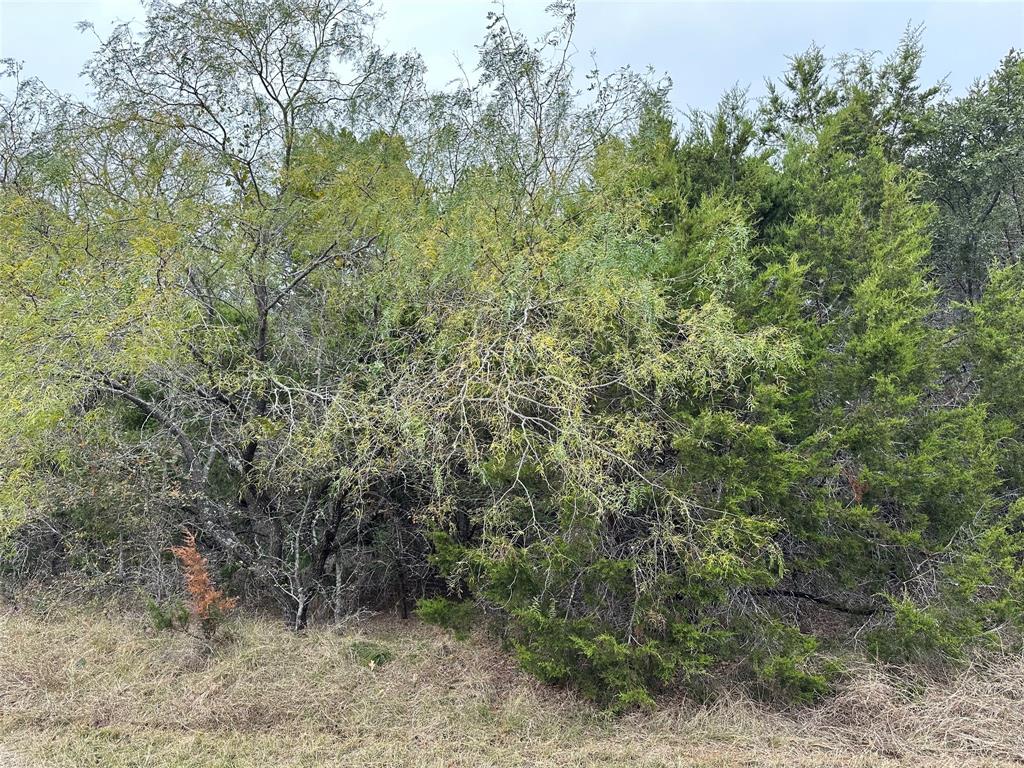 30044 Stonedale Drive Property Photo 1