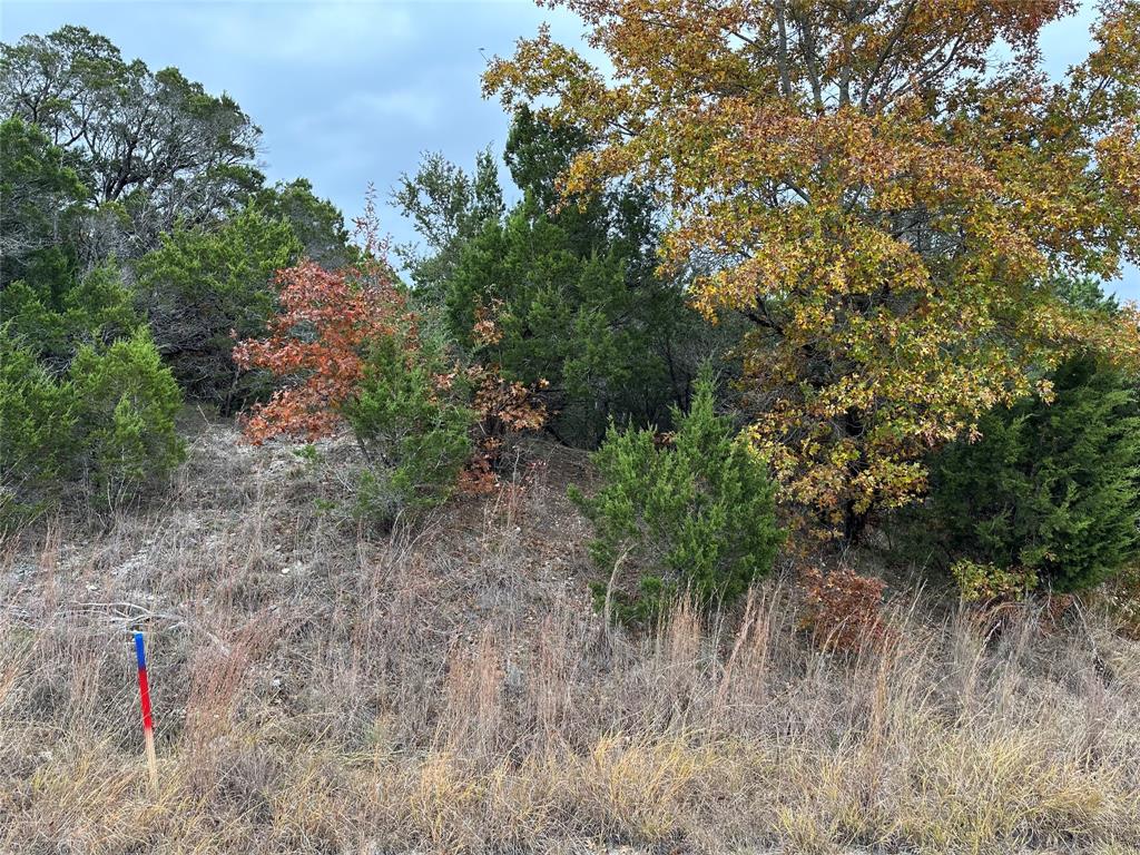 8601 Retreat Boulevard Property Photo 2