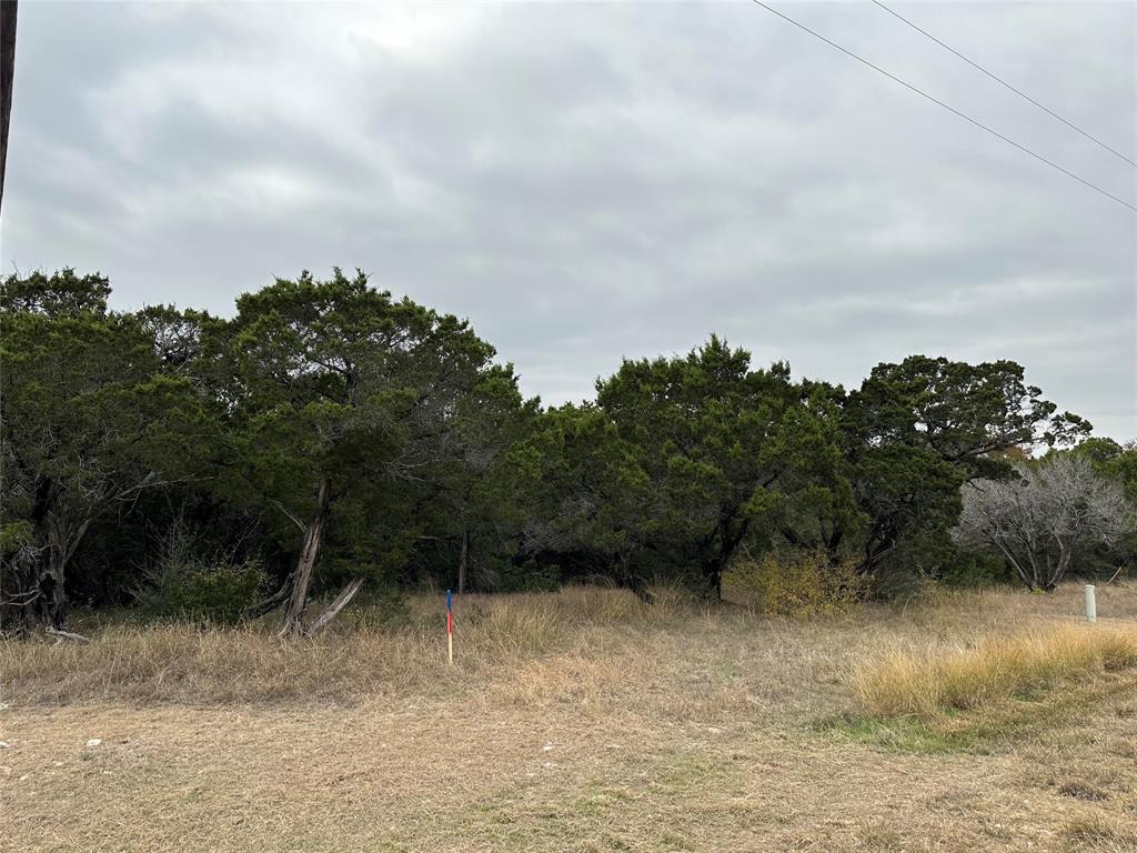 8408 Bruntsfield Loop Drive Property Photo 1